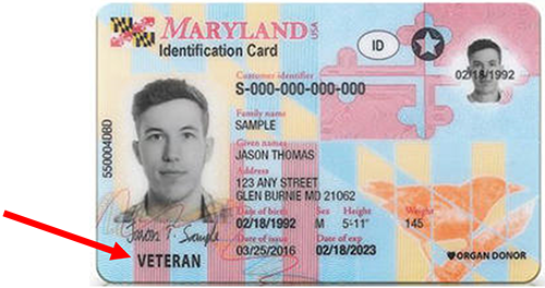 Sample of what a Maryland Veteran license looks like, it has the word - Veteran - in the lower left corner